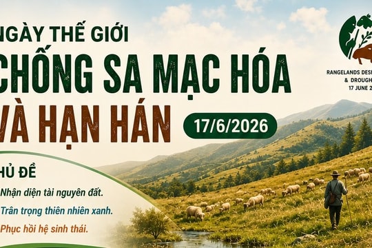 [Infographic] Ngày Thế giới chống sa mạc hóa và hạn hán: Nhận diện, trân trọng và phục hồi