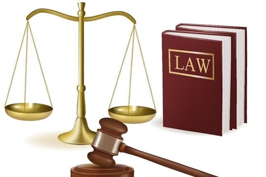 Bộ Nông nghiệp và Môi trường cắt giảm, tinh gọn gần 36% văn bản quy phạm pháp luật