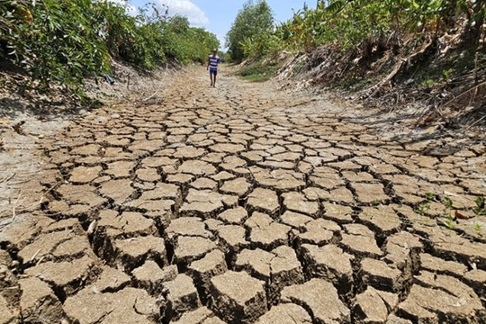 El Niño trở lại: Nông nghiệp Việt Nam đối mặt nguy cơ hạn hán, thiếu nước