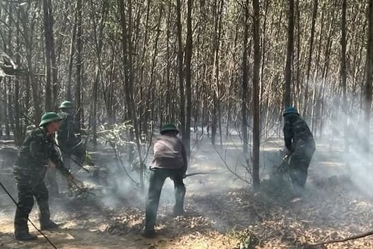 Nắng nóng kéo dài, cháy rừng liên tiếp bùng phát tại Quảng Trị