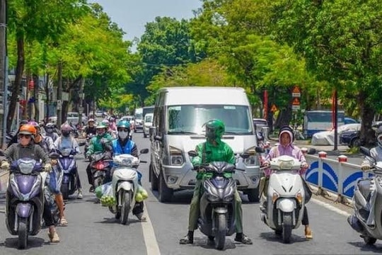 Nắng nóng cực đoan, gần 840 khu vực ở mức cháy rừng cực kỳ nguy hiểm