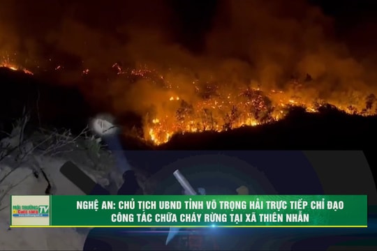 [VIDEO] Nghệ An: Chủ tịch UBND tỉnh Võ Trọng Hải trực tiếp chỉ đạo công tác chữa cháy rừng tại xã Thiên Nhẫn