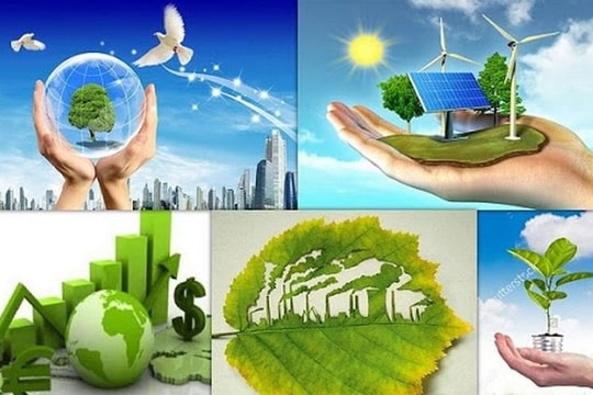 Xây dựng dự án sửa đổi 10 luật về thủ tục hành chính lĩnh vực nông nghiệp, môi trường theo thủ tục rút gọn
