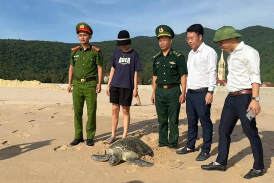 Ngư dân Hà Tĩnh giao nộp rùa biển quý hiếm nặng 40kg mắc lưới