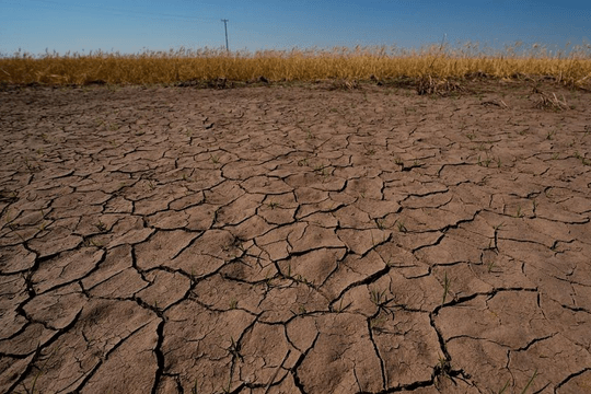 Nguy cơ xâm nhập mặn gia tăng do El Nino mạnh