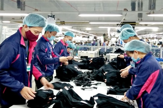 Tổng Liên đoàn Lao động Việt Nam đề xuất tăng lương tối thiểu vùng cao nhất 9,8%