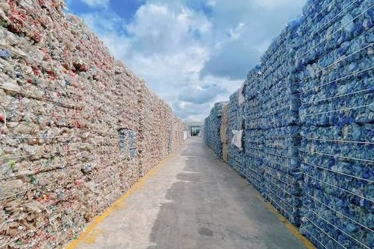 Thị trường Đức thay đổi quy định bao bì, doanh nghiệp Việt đối mặt thách thức mới