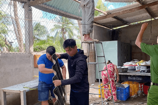 Đồng Tháp: Dông lốc gây thiệt hại diện rộng, 46 căn nhà bị tốc mái