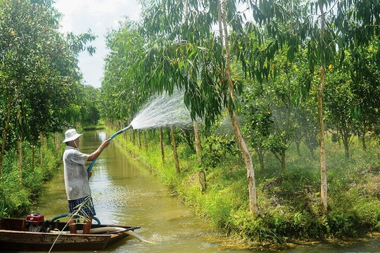 Mở rộng quản lý nước dưới đất để ứng phó xâm nhập mặn, sụt lún