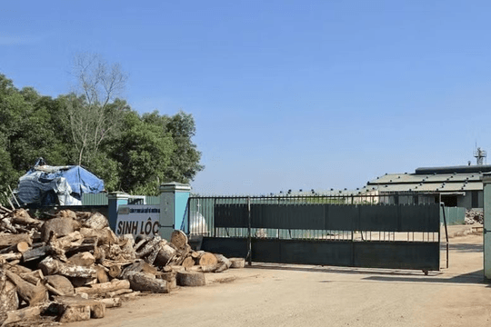 Quảng Ngãi phạt 2 doanh nghiệp hơn 560 triệu đồng vì vi phạm môi trường