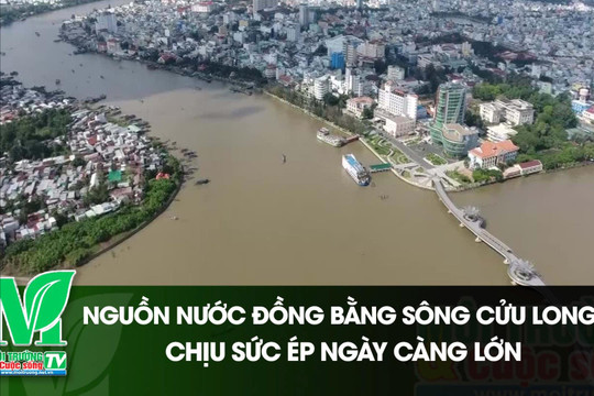 [VIDEO] Nguồn nước Đồng bằng sông Cửu Long chịu sức ép ngày càng lớn