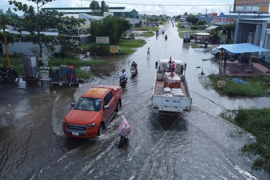 Cà Mau triển khai đồng bộ giải pháp ứng phó thiên tai năm 2026