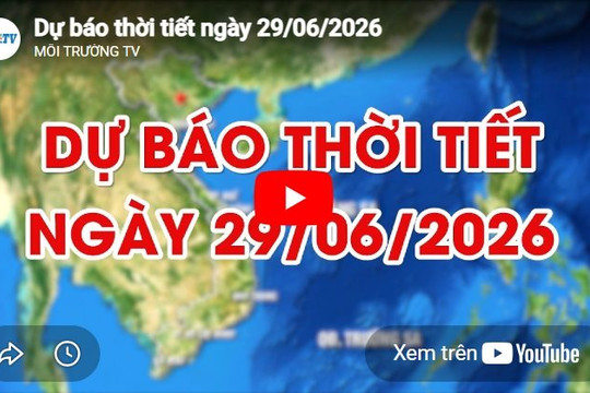 Dự báo thời tiết ngày 29/06/2026: Mưa vừa và rải rác có dông