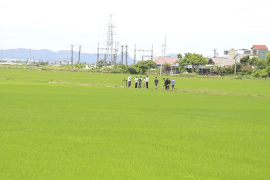 Gia Lai phát triển gần 1.700ha lúa giảm phát thải