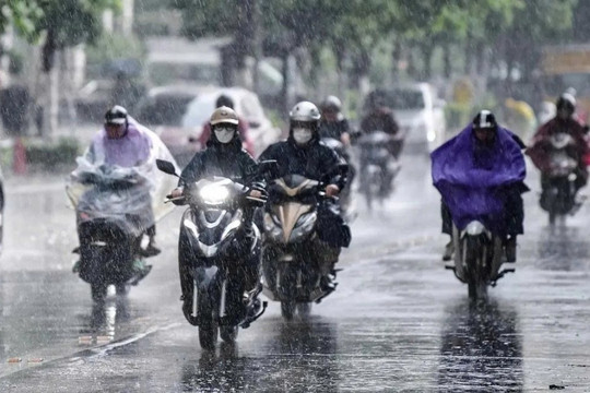 Dự báo thời tiết Hà Nội ngày 30/06/2026: Đêm và sáng có mưa