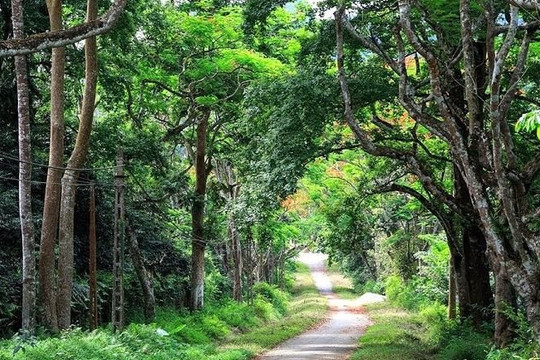 Vườn quốc gia Cúc Phương phát huy mô hình bảo tồn gắn với phát triển bền vững
