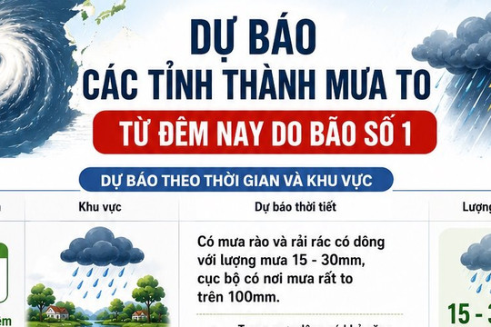 [Infographic] Danh sách các tỉnh thành mưa to từ đêm nay do bão số 1
