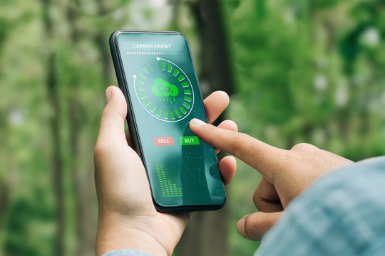 Khi nào kết quả giảm phát thải được công nhận là tín chỉ carbon?