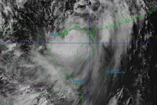 Bão Maysak áp sát Quảng Ninh, tối nay gió giật cấp 11