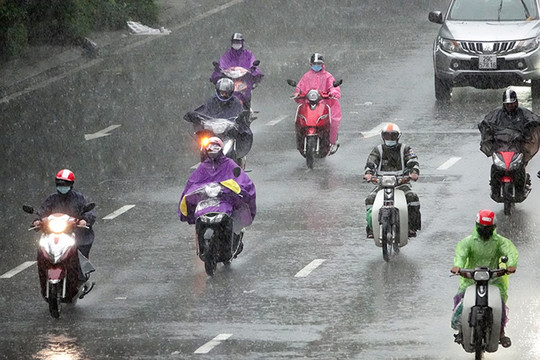 Dự báo thời tiết Hà Nội ngày 05/7/2026: Mưa to và rải rác có dông