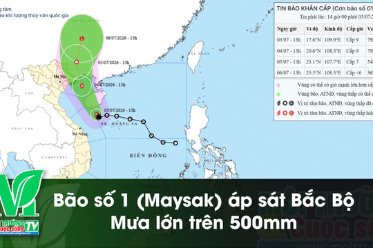 [VIDEO] Bão số 1 (Maysak) áp sát Bắc Bộ: Mưa lớn trên 500mm