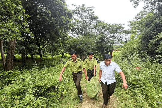 Thu giữ 64 cá thể động vật hoang dã nuôi nhốt trái phép, tái thả về tự nhiên
