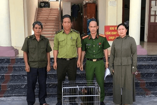 Người dân Hải Phòng tự nguyện giao nộp cá thể khỉ mặt đỏ quý hiếm đi lạc vào vườn