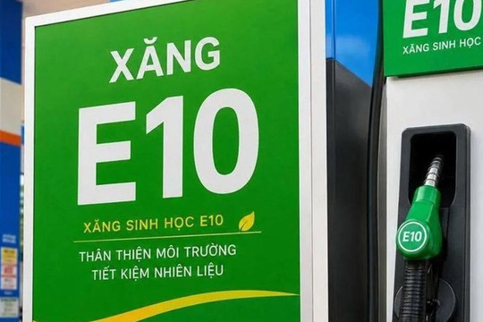 Cần thêm dữ liệu quan trắc để đánh giá tác động của xăng E10 đến môi trường