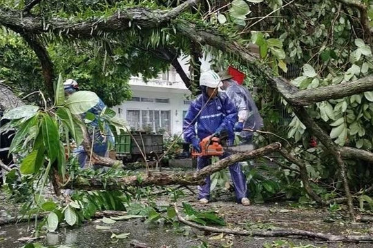 Quảng Ninh khẩn trương khắc phục hậu quả bão số 1, sớm ổn định đời sống người dân