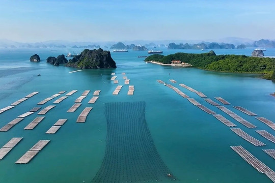 Sửa Luật Tài nguyên, môi trường biển và hải đảo với 4 nhóm chính sách