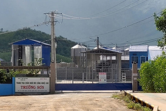 Vi phạm môi trường, doanh nghiệp bị phạt 625 triệu đồng
