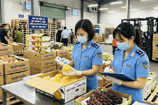 HĐND TP Hà Nội sẽ chất vấn về an toàn thực phẩm, úng ngập đô thị