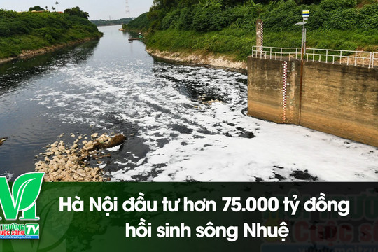 [VIDEO] Hà Nội đầu tư hơn 75.000 tỷ đồng hồi sinh sông Nhuệ