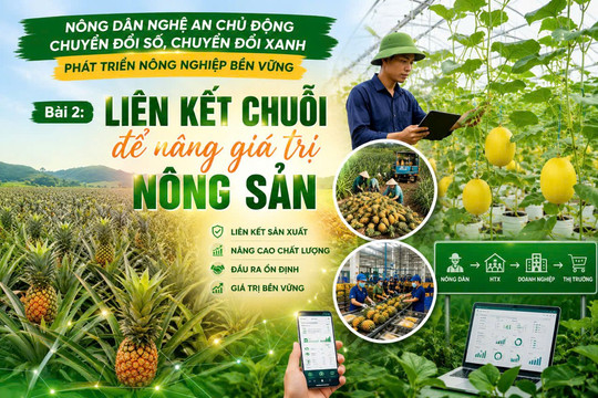 Bài 2: Liên kết chuỗi để nâng giá trị nông sản