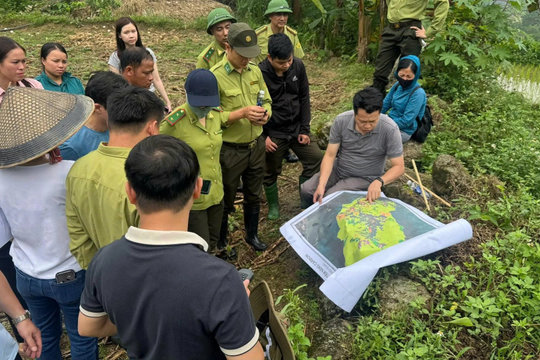 Tuyên Quang triển khai mô hình tương trợ vốn, thúc đẩy phát triển dự án carbon rừng