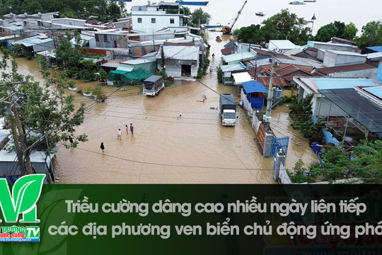[VIDEO] Triều cường dâng cao nhiều ngày liên tiếp, các địa phương ven biển chủ động ứng phó
