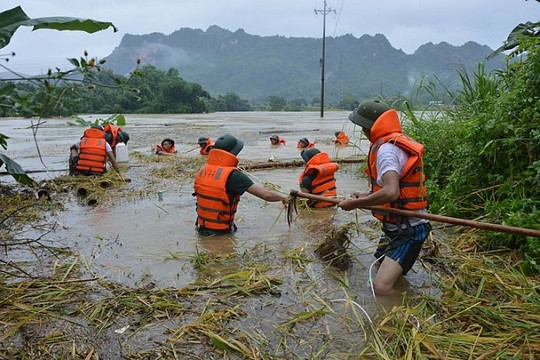 Lâm Đồng: Xã Tà Năng nâng cao năng lực cộng đồng ứng phó thiên tai đến năm 2030