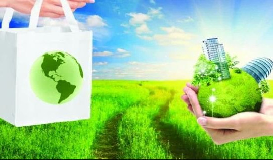 Ưu tiên công nghệ xanh, tiết kiệm năng lượng trong mua sắm công để thúc đẩy phát triển bền vững