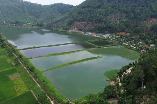 Làm rõ nguyên nhân cá chết tại hồ Đồng Nững