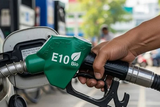 Tăng cường kiểm tra, giám sát chất lượng xăng sinh học E10