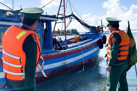 Chủ tàu cá vi phạm IUU có thể bị phạt tới 1 tỷ đồng hoặc truy cứu trách nhiệm hình sự