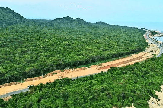 Cánh rừng nguyên sinh hiếm hoi đang gìn giữ hàng trăm loài động, thực vật