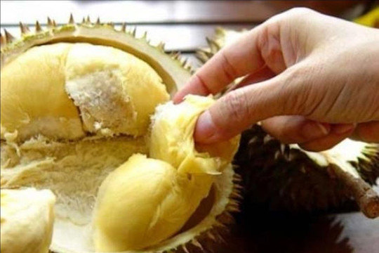 Sầu riêng - loại quả được mệnh danh là "vua trái cây" với "kho báu" vô tận về dinh dưỡng