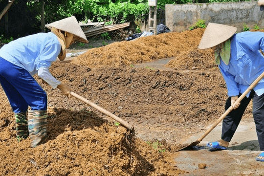 Biến phụ phẩm nông nghiệp thành tài nguyên: Dư địa lớn cho tăng trưởng xanh