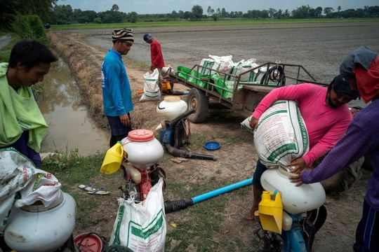 Malaysia chủ động ứng phó nguy cơ siêu El Niño cuối năm 2026