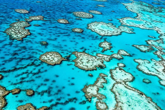 El Nino làm gia tăng nguy cơ tẩy trắng hàng loạt tại rạn san hô Great Barrier
