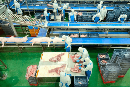 Hà Nội tháo điểm nghẽn quản lý giết mổ, siết an toàn thực phẩm