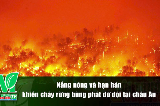 [VIDEO] Nắng nóng và hạn hán khiến cháy rừng bùng phát dữ dội tại châu Âu