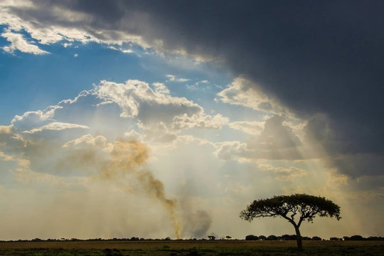 AfDB cảnh báo El Nino gây thiệt hại nặng cho châu Phi