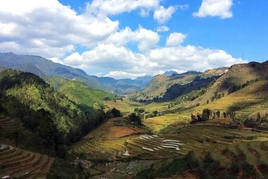 Giữ "kho báu" đa dạng sinh học giữa đại ngàn Hoàng Liên